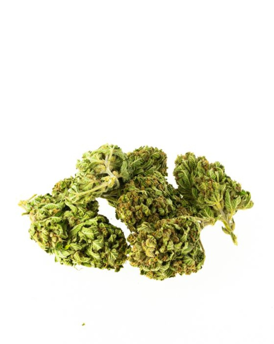 Akcesoria New Bad Line | Spalto.Pl Susz Konopny Cbd Premium Jack Herer